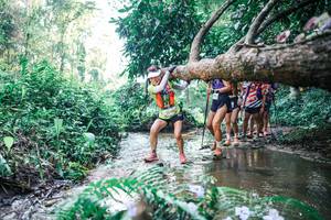 BIB: 
                            <button type="button" onclick="openModal(25444905)" class="btn btn-primary btn-sm float-right btn-popup" data-toggle="modal" data-target=".modal-high-quality">
                        <i class="fas fa-shopping-cart"></i> Add to Cart
                    </button>
                                            <button type="button" onclick="isThisMe(25444905, true)" class="btn btn-success btn-sm float-right btn-popup btn-isme hidden" data-toggle="tooltip" data-placement="bottom" title="นี่คือรูปของคุณใช่ไหม คลิกที่นี่เพื่อเอาเข้าอัลบั้ม">
                        <i class="fas fa-plus"></i> Add to album
                    </button>
                    <button type="button" onclick="isThisMe(25444905, false)" class="btn btn-warning btn-sm float-right btn-popup btn-isnotme hidden">
                        <i class="fas fa-ban"></i> Remove from album
                    </button>